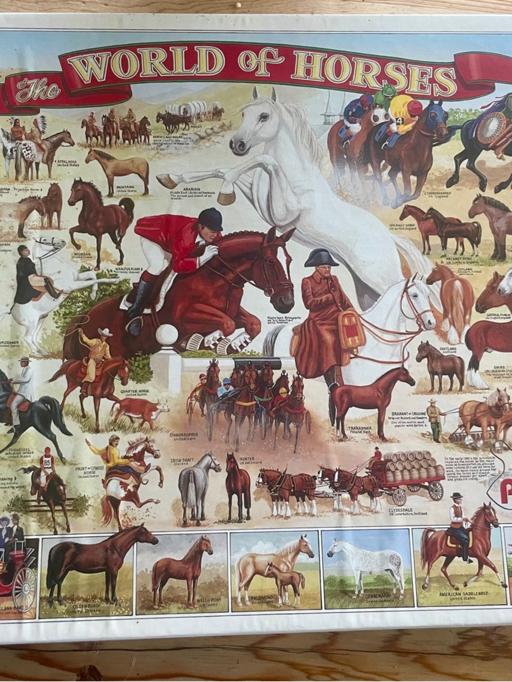 VTG 1999 World of Horses 1000 piece puzzle - 24”‎ x 30”